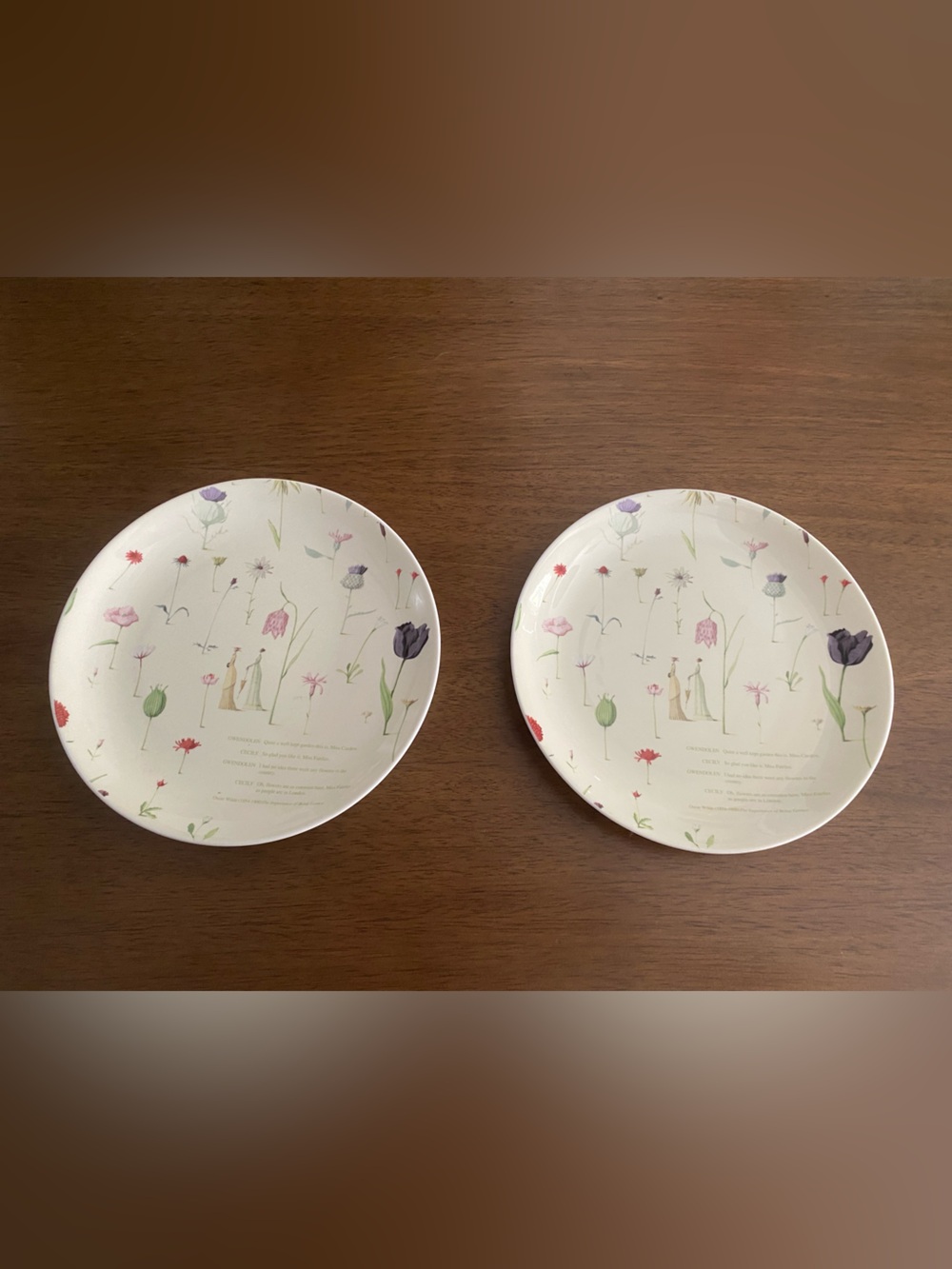 Portmeirion “Up The Garden Path” Retired 9" Luncheon Plates 
Set of 2